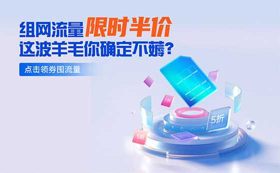 組網(wǎng)流量限時半價！你還在等什么？